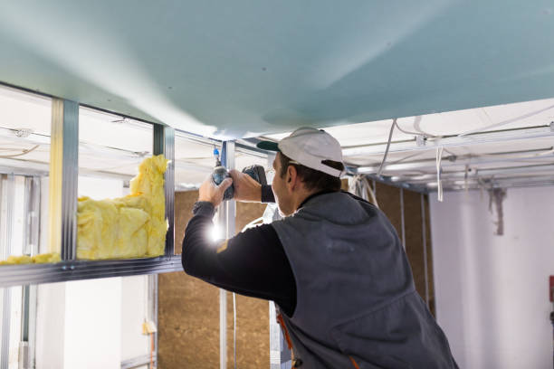 Best Wall Insulation Contractor  in Mars Hill, NC
