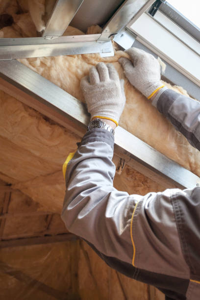 Best Insulation Inspection Services  in Mars Hill, NC