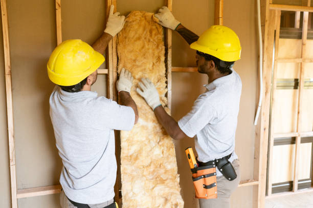 Best Home Insulation Services  in Mars Hill, NC