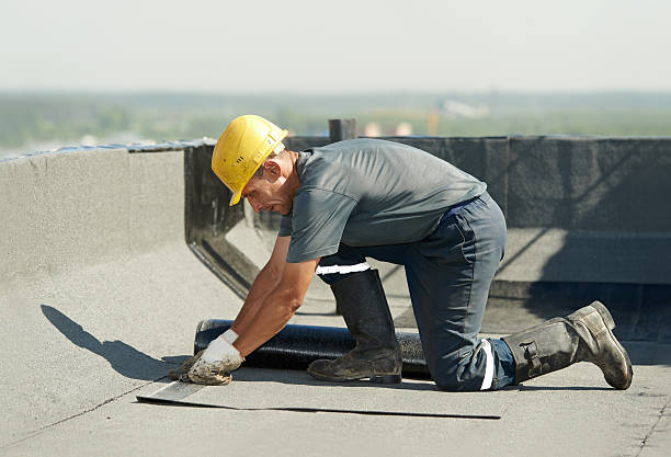 Best Insulation Repair Services  in Mars Hill, NC