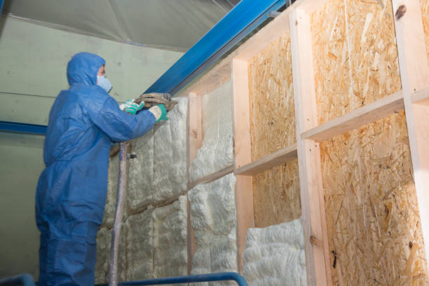 Best Residential Insulation Services  in Mars Hill, NC