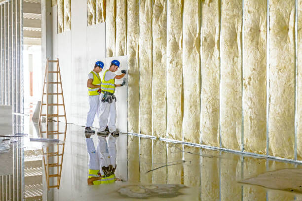 Best Spray Foam Insulation  in Mars Hill, NC